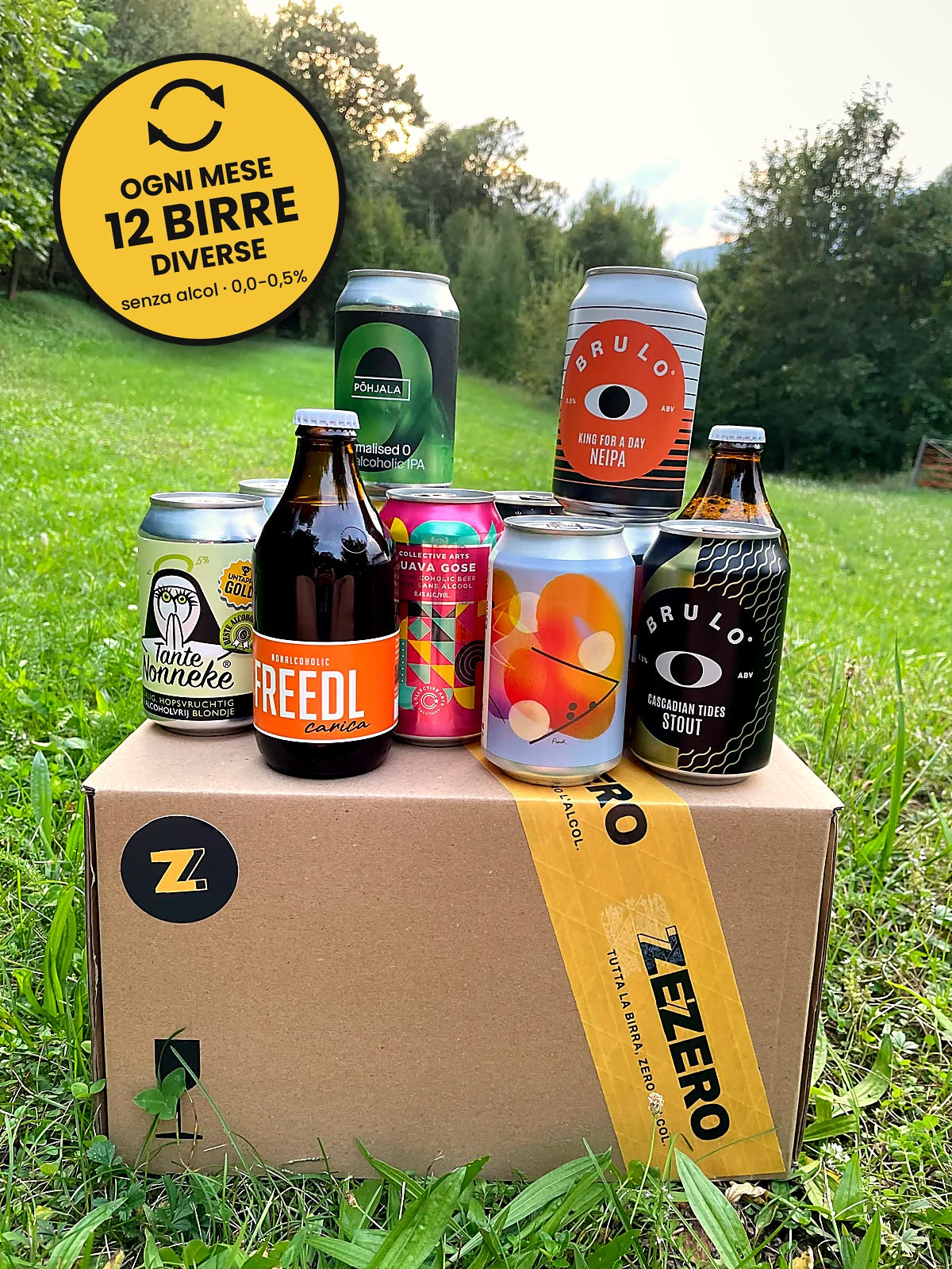La Cassa Mix - 12 birre analcoliche craft